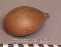 Kalebas (Collectie Wereldmuseum, RV-360-7087)