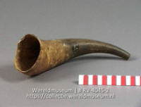 cachoe; Blaashoorn (Collectie Wereldmuseum, RV-4045-2)