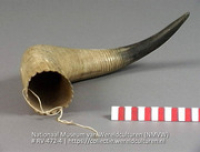 Hoorn (muziekinstrument) (Collectie Wereldculturen, RV-472-4)