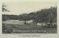 154. Landschap op Bonaire.' (Collectie Wereldmuseum, RV-A5-3-56)