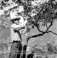 Een blanke Sabaan; Een man bewerkt een boom (Collectie Wereldmuseum, TM-10021129)