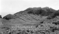 Saba. 'Rendez-vous' (nabij The Mountain), met bouwlandjes; Berglandschap met op de minder steile helling aangelegd bouwland (Collectie Wereldmuseum, TM-10021152)
