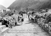 Straatgezicht op Saba met ezels die bepakking dragen; Dorpsstraatje in The Bottom. Saba (Collectie Wereldmuseum, TM-10021159)