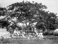 Schoolfoto van een katholiek school op Sint Eustatius; St. Eustatius. Schoolkinderen van de R.K. school onder hoge bomen. poincianaboom (Collectie Wereldmuseum, TM-10021192)