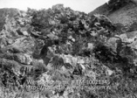 Xeroph-vegetatie. Saba; Rotsvegetatie op Saba (Collectie Wereldmuseum, TM-10021345)