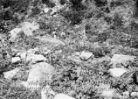 Bouwland Saba; Een stuk grond met veel rotsen (Collectie Wereldmuseum, TM-10021360)