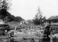 Saba. Oude begraafplaats Windwardside.; Een begraafplaats op Saba met op de achtergrond woningen (Collectie Wereldmuseum, TM-10021377)
