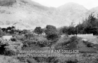 Saba. 'The Bottom'; Een met planten, bomen en struiken begroeid veld langs de weg (Collectie Wereldmuseum, TM-10021408)