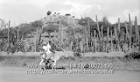 Bonaire. Ezeltje met twee passagiers op de weg nabij Plantage Coeroeboeroe; Kinderen op een ezel op een weg langs cactussen in de omgeving van plantage Coeroeboeroe (Collectie Wereldmuseum, TM-10021490)