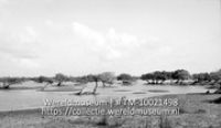 Savana ten Z.O. van Kralendijk, overstroomd door regenwater, Bonaire; Een na regen blank staand savannelandschap zuidoostelijk van Kralendijk (Collectie Wereldmuseum, TM-10021498)