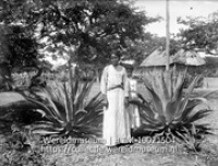 Vegetatie der West-Ind.Eil. Agave-planten; Twee Antilliaanse vrouwen tussen Agave (Collectie Wereldmuseum, TM-10021504)