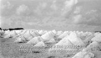 Bonaire. Witte Pan, oude zouthopen; Zouthopen bij Witte Pan (Collectie Wereldmuseum, TM-10021518)