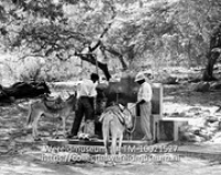 Waterkranen bij 'Dos Poos' achter Rincon, Bonaire; Waterkranen bij Dos Pos, omgeving Rincon (Collectie Wereldmuseum, TM-10021527)