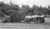 Bonaire. Houtskoolopslag bij Slagbaai; Bonaire, 16 april 1950 houtskoolopslag bij Slagbaai (fr. Arnoldo) Westermann; Een opslagplaats met houtskool (Collectie Wereldmuseum, TM-10021537)
