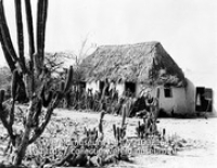 Huisje in Antriol. Bonaire; Een kunukuhuis (?) in Antriol (Collectie Wereldmuseum, TM-10021545)