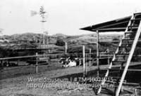 Veebedrijf Cas Cora, Curacao; Een boerderij met koeien en een windmolen (Collectie Wereldmuseum, TM-10021715)