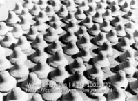 Strohoeden liggen te bleken in de zon; Curacao. Stroohoeden-industrie. Hoeden op de bleek (Collectie Wereldmuseum, TM-10021727)