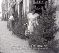 Curacao. Kertboomenverkoop in de Breedestraat te Punda. Willemstad; Verkoop van omgehakte kerstbomen in de Breedestraat (Collectie Wereldmuseum, TM-10021769)