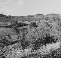 Landschap met cactussen; Landschap (Collectie Wereldmuseum, TM-20003831), Lawson, Boy