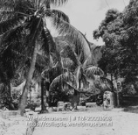 Straatbeeld met palmen; Kokospalmen (Collectie Wereldmuseum, TM-20003908), Lawson, Boy