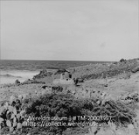 Landschap met waterput en vee, op de voorgrond struiken en cactussen; Zoetwaterbron aan zee (Collectie Wereldmuseum, TM-20003957), Lawson, Boy