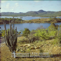 Zicht op het Gotomeer, met cactus op de voorgrond; Het Gotto meer. (Collectie Wereldmuseum, TM-20029695), Lawson, Boy