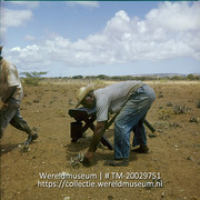 Mannen snijden aloe, met pers; Aloe snijders (Collectie Wereldmuseum, TM-20029751), Lawson, Boy