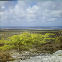 Uitzicht over landschap, met op de achtergrond Klein Bonaire; Landsch.op Bonaire, op achtergrond klein Bonaire. (Collectie Wereldmuseum, TM-20029755), Lawson, Boy