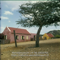 Woningen in Rincon, met op de voorgrond een boom; Woningen in het dorpje Rincon. (Collectie Wereldmuseum, TM-20029763), Lawson, Boy
