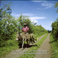 Het vervoer van landbouwproducten per ezel; Landbouwer vervoerr zijn producten per ezel. (Collectie Wereldmuseum, TM-20030068), Lawson, Boy