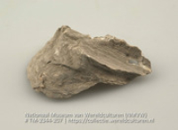 Schelp, gevonden in een graf (Collectie Wereldculturen, TM-2344-207)