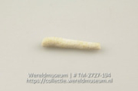 Wit stuk koraal (Collectie Wereldmuseum, TM-2727-194)