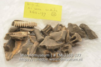 29 botfragmenten (Collectie Wereldmuseum, TM-3163-177)