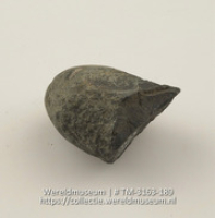 Klopsteen (Collectie Wereldmuseum, TM-3163-189)
