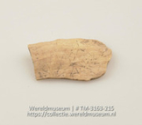 Stuk schelp, vermoedelijk gebruikt als lepel (Collectie Wereldmuseum, TM-3163-215)