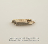 Stuk schelp, vermoedelijk een schraper (Collectie Wereldmuseum, TM-3163-216)