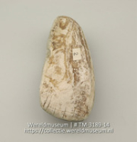Bijlkling van schelp (Collectie Wereldmuseum, TM-3189-14)