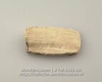 Plaatje van schelp (Collectie Wereldmuseum, TM-3189-19c)