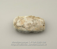 Plaatje van schelp (Collectie Wereldmuseum, TM-3189-19d)