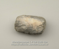 Plaatje van schelp (Collectie Wereldmuseum, TM-3189-19e)