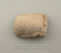 Plaatje van schelp (Collectie Wereldmuseum, TM-3189-19f)