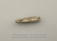 Plaatje van schelp (Collectie Wereldmuseum, TM-3189-19h)
