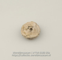 Knoop of kraal van schelp (Collectie Wereldmuseum, TM-3189-20a)