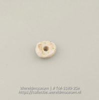 Knoop of kraal van schelp (Collectie Wereldmuseum, TM-3189-20e)