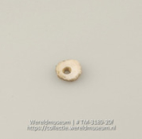 Knoop of kraal van schelp (Collectie Wereldmuseum, TM-3189-20f)