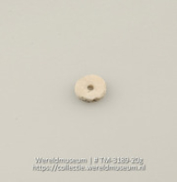Knoop of kraal van schelp (Collectie Wereldmuseum, TM-3189-20g)