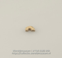 Halve knoop of kraal van schelp (Collectie Wereldmuseum, TM-3189-20h)