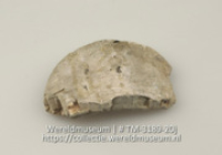 Stuk schelp (Collectie Wereldmuseum, TM-3189-20j)