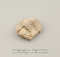 Schijfje van schelp (Collectie Wereldmuseum, TM-3189-22a)