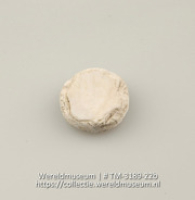 Schijfje van schelp (Collectie Wereldmuseum, TM-3189-22b)